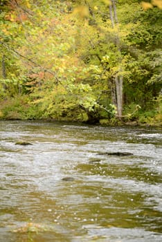 an autumn landscape with river and trees