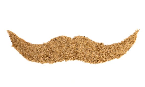 Retro moustaches of wheat grain. White background.