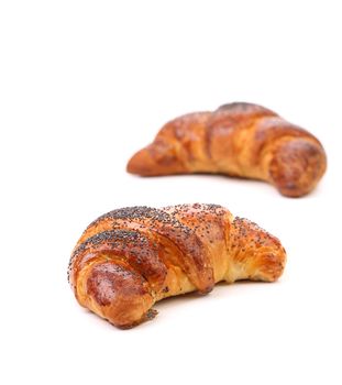 Appetizing croissants with poppy. Isolated on a white background.