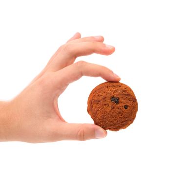 Hand holds oatmeal raisin cookie. White background.