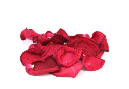 Rose petals isolated on a white background