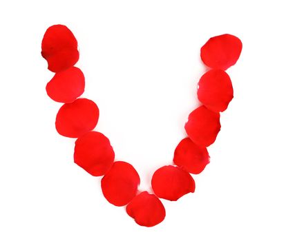 Letter V made ??of rose petals. Isolated on a white background.