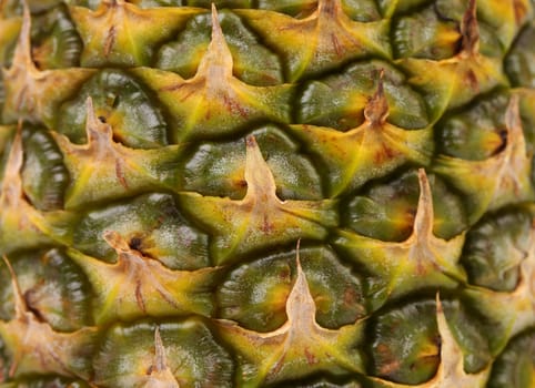 Background of pineapple fruit. Close up.  Texture.