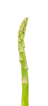 Fresh asparagus. Isolated on a white background.