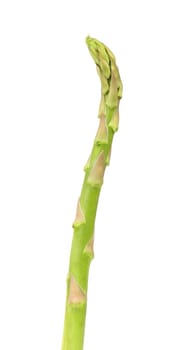 Fresh asparagus. Isolated on a white background.