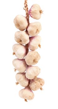 Plait of garlics. Isolated on a white background.