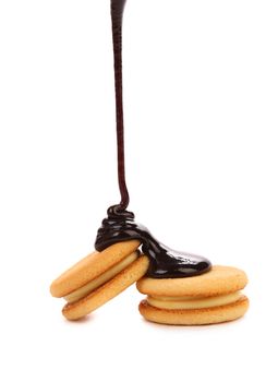 Stream chocolate and biscuit sandwich. White background.