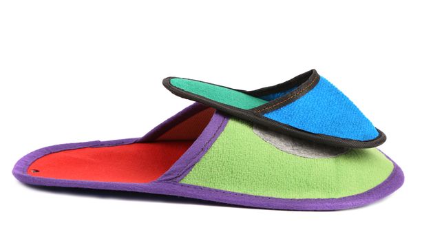 House slippers. Isolated on a white background.