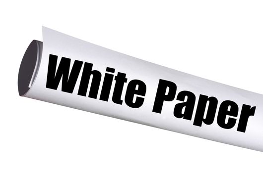 white paper report concept for business