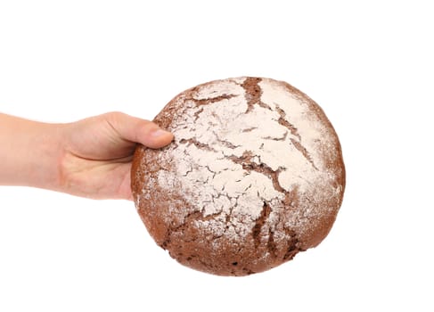 Hand holds brown round bread. White background.