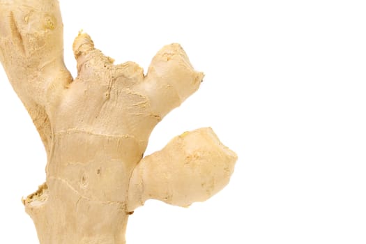 fresh ginger isolated on a white background