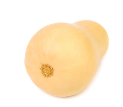 Tail of pumpkin. Isolated on a white background.