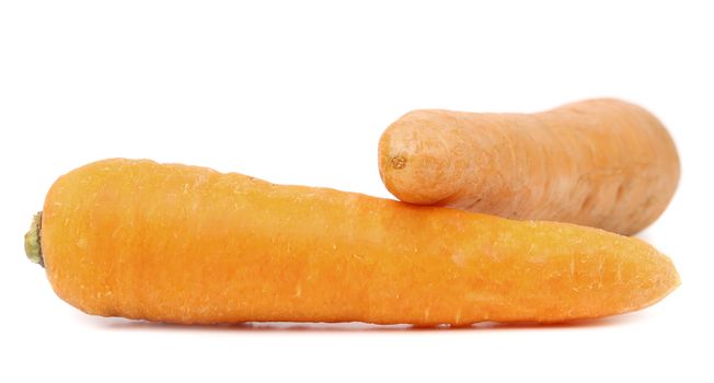 Carrot tubers isolated on a white background
