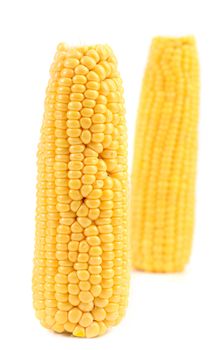 Two corncobs isolated on a white background