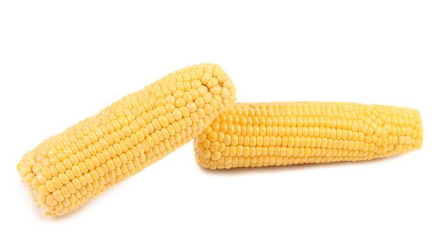 Two corncobs isolated on a white background