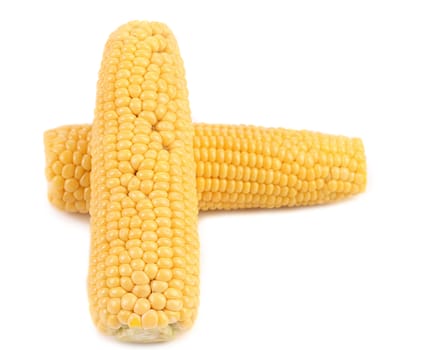 Two corncobs isolated on a white background