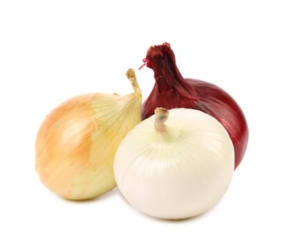Three different kinds of onions. White background.