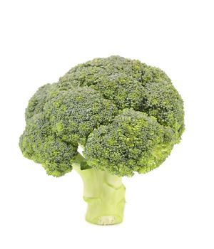 Fresh broccoli. Isolated on a white background.