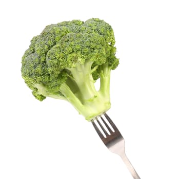 Fresh broccoli on fork. Isolated on a white background.