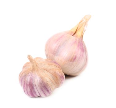 Two garlics. Isolated on a white background.
