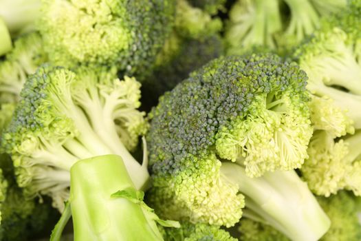 Background of delicious broccoli. Close up. Whole background.