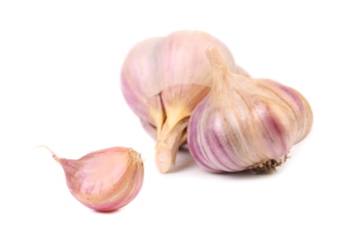 Garlics and clove isolated on a white background