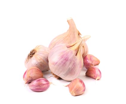 Garlics and cloves isolated on a white background