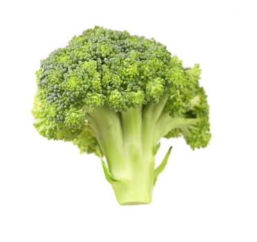Fresh broccoli. Isolated on a white background.
