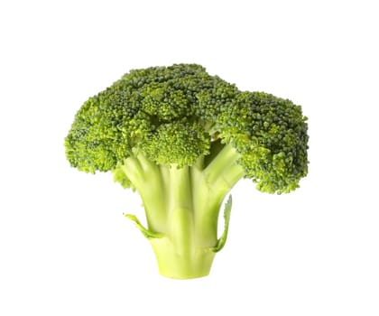 Fresh broccoli. Isolated on a white background.