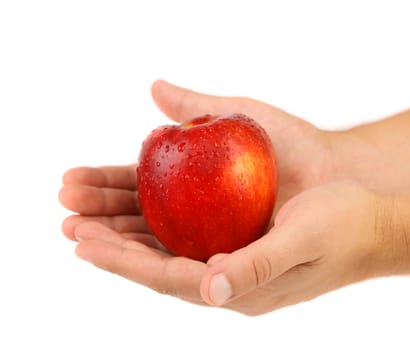 Red apple in the hands. Wet apple