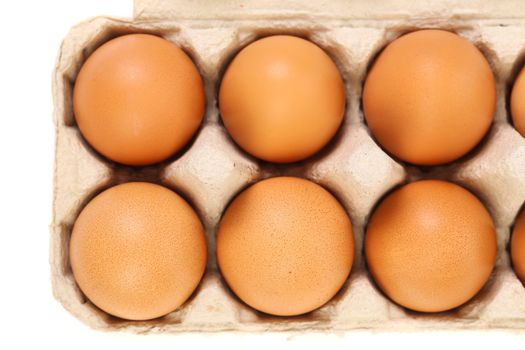 Sex brown eggs in egg box. Isolated