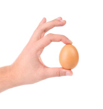 Man hand holds a  delicate egg isolated on a white
