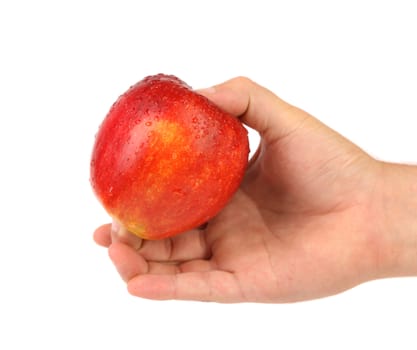 Hand holding a red apple with water dropets