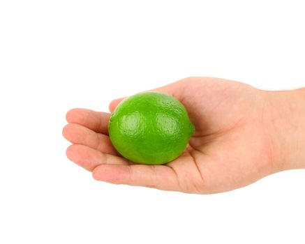 Hand holding green lemon isolated on a white