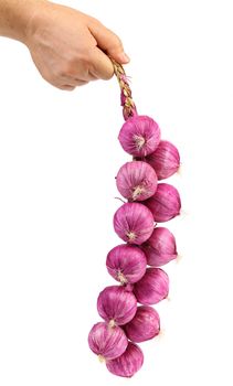 Braided onions on a white background. Isolated