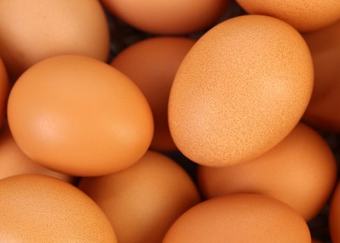 Background of brown eggs. Close up. Whole background.