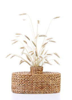 Wicker vase with ears of wheat isolated on white