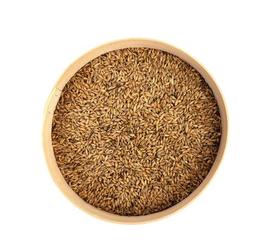 Wheat grain into sieve. Isolated on a white background.