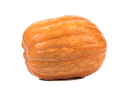 Fresh orange pumpkin isolated on a white background