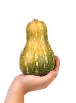 Yellow-green pumpkin on hand. Isolated on a white background.