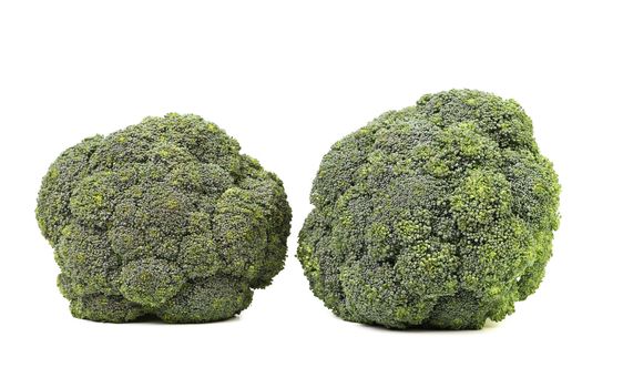Broccoli vegetable isolated on a white background