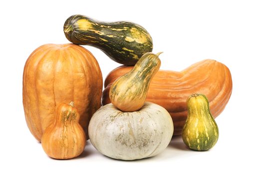 Composition of different kind pumpkins. Isolated on a white background.