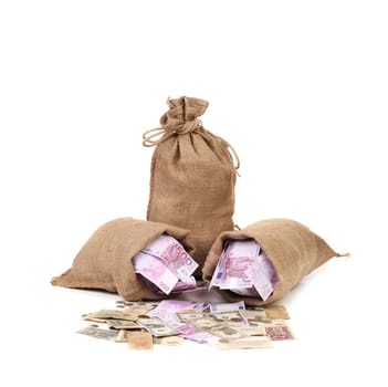 Bags of euro on coins. Isolated on a white background.