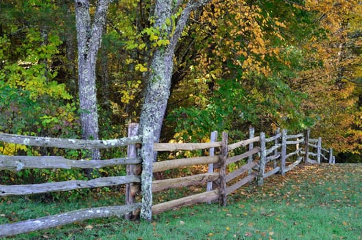 A wooden rail fence in the country running along fall's changing trees