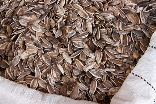 Sunflower seeds