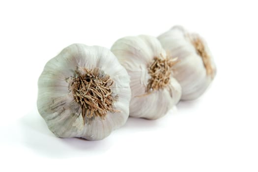 Fresh garlic isolated on white background