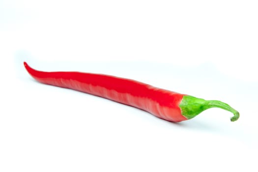 Red hot chili pepper on white background