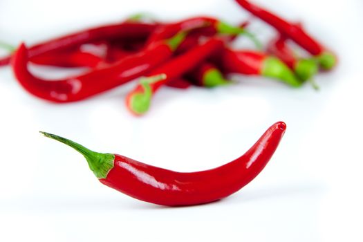 Red hot chili pepper on white background