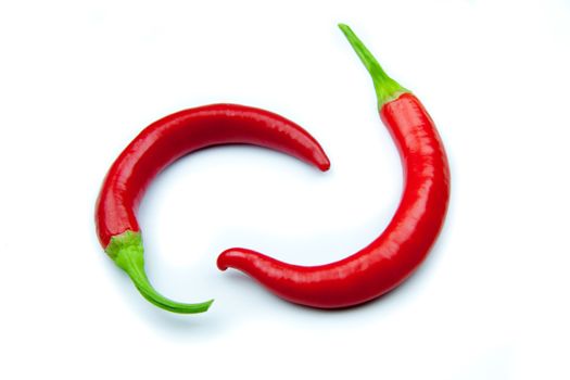 Red hot chili pepper on white background