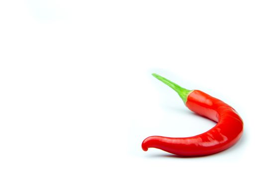 Red hot chili pepper on white background